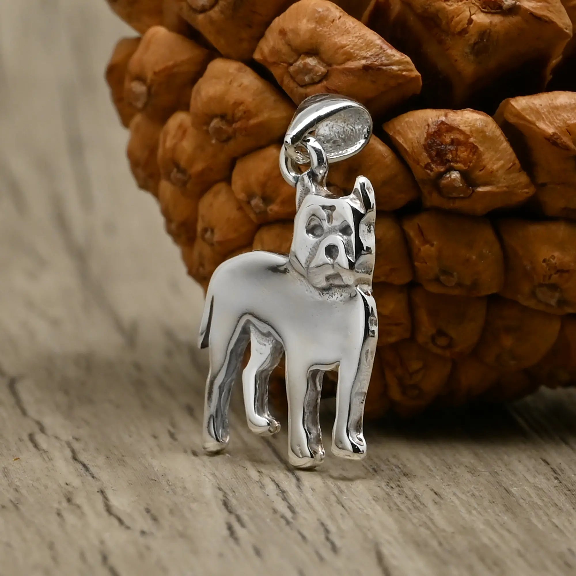 Colgante Perro Pitbull en Plata 925