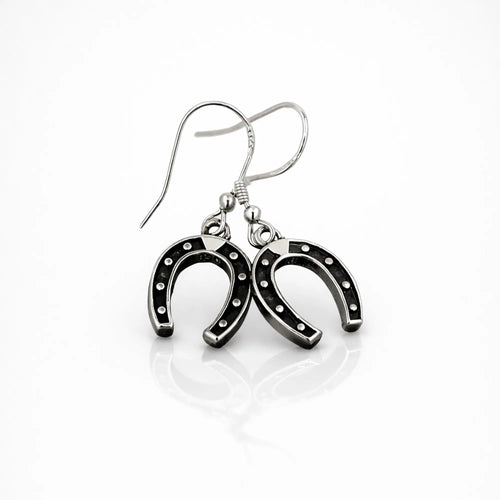 Aros Colgantes Herradura en Plata 925